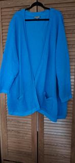 Mooi groot vest van Ulla Popken, Kleding | Dames, Grote Maten, Verzenden, Zo goed als nieuw, Blauw, Trui of Vest