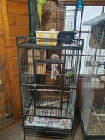 Kooien, Dieren en Toebehoren, Vogels | Hokken en Kooien, Ophalen of Verzenden, Zo goed als nieuw, Hout, Vogelkooi