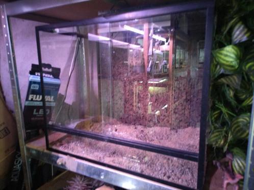 Terrarium + arcadia shadedweller, Dieren en Toebehoren, Reptielen en Amfibieën | Toebehoren, Zo goed als nieuw, Terrarium of Paludarium