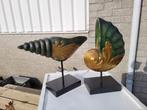 2 mooie grotere houten schelp sculpturen beelden, Antiek en Kunst, Ophalen of Verzenden