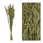 Partij droogbloemen Bunch Avena Nature (480 stuks), Ophalen of Verzenden, Nieuw