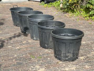 Zwarte kunststof planten bakken beschikbaar voor biedingen