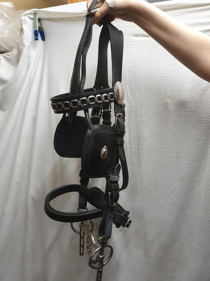 Mooi leer paarden tuig met gareel, Dieren en Toebehoren, Paarden en Pony's | Hoofdstellen en Tuigage, Gebruikt, Overige soorten