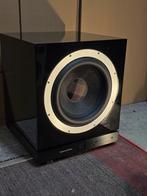 Bowers & Wilkins DB1 Subwoofer – 2x12 inch, 1000 Watt, Ophalen, Zo goed als nieuw, 120 watt of meer, Subwoofer