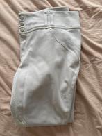 Samshield wedstrijdbroek, Dieren en Toebehoren, Ophalen of Verzenden, Zo goed als nieuw, Dressuur, Bovenkleding