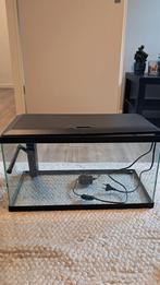 Ciano 60L aquarium, Ophalen, Gebruikt, Leeg aquarium