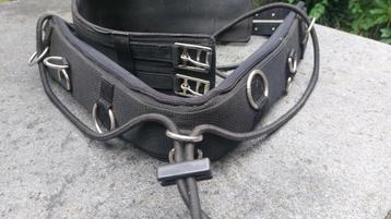 Longeersingel met elastische bijzetteugels *nieuwe prijs* beschikbaar voor biedingen