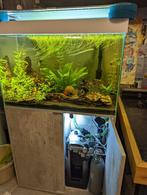 Aquarium 80cm 150 liter met veel extra's, Dieren en Toebehoren, Gebruikt, Ophalen, Leeg aquarium