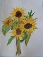 Diverse aquarel schilderijen, Antiek en Kunst, Ophalen of Verzenden