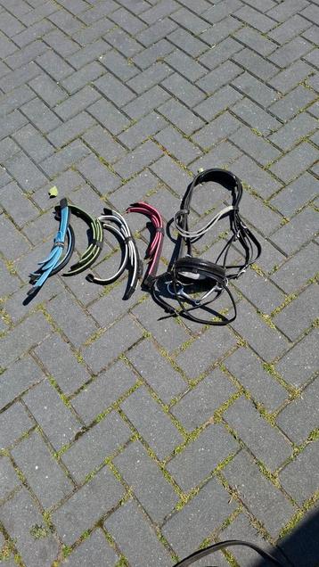 Hoofdstel hh switch maat full  beschikbaar voor biedingen