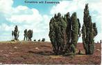 Lunteren- -Heidelandschap., Verzenden, 1960 tot 1980, Gelopen, Gelderland