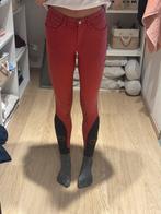 Cavalleria Toscana Rijbroek Rood, Dames, Onderkleding, Ophalen of Verzenden, Springen