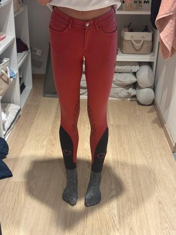 Cavalleria Toscana Rijbroek Rood beschikbaar voor biedingen