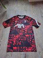 Nike shirt liverpool, Nike, Ophalen of Verzenden, Zo goed als nieuw, Voetbal