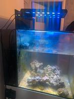 Aqua medic led verlichting compleet, Dieren en Toebehoren, Ophalen of Verzenden, Zo goed als nieuw, Verlichting of Verwarming