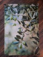 Tuinposter 120x80 , olijf, Olijfboom., Ophalen, Zo goed als nieuw