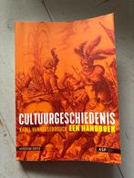 Cultuurgeschiedenis - Karel Vanhaesebrouck, Boeken, Geschiedenis | Vaderland, Ophalen of Verzenden, 20e eeuw of later, Zo goed als nieuw