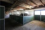 Paardenstal/box, Dieren en Toebehoren, Stalling en Weidegang, Stalling, 4 paarden of pony's of meer