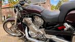 HD Vrod Muscle (VRSCF), custom, lage km, Motoren, Motoren | Harley-Davidson, 2 cilinders, ABS, Motorrijbewijs A, Particulier