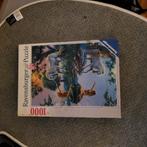 Ravenburger puzzel 1000 stuks, Hobby en Vrije tijd, Denksport en Puzzels, Ophalen, 500 t/m 1500 stukjes, Zo goed als nieuw