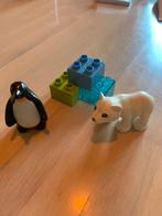 Lego Duplo 10501 Dierentuin Vrienden, Ophalen of Verzenden, Zo goed als nieuw, Complete set, Duplo