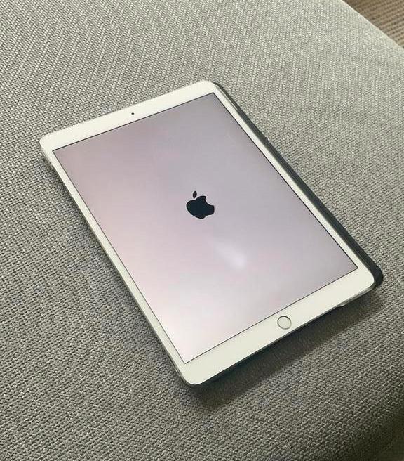 • Model: iPad Pro 10.5” (2017), Computers en Software, Apple iPads, Zo goed als nieuw, Apple iPad, 10 inch, 64 GB, Ophalen