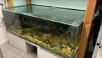 Aquarium 150x80x50 cm met toebehoren, Dieren en Toebehoren, Gebruikt, Ophalen, Leeg aquarium