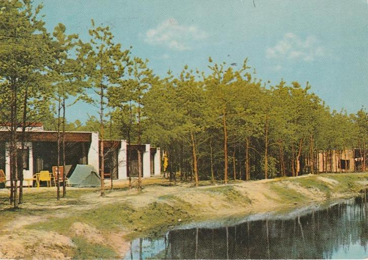 AMERICA Rekreatieoord Bos en Strand, Verzamelen, Ansichtkaarten | Nederland, Gelopen, Limburg, 1960 tot 1980, Verzenden