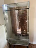 Terrarium, Dieren en Toebehoren, Reptielen en Amfibieën | Toebehoren, Ophalen of Verzenden, Zo goed als nieuw, Terrarium of Paludarium