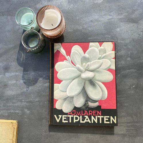 Verkade Album - Vetplanten, A.J. van Laren, Boeken, Prentenboeken en Plaatjesalbums, Plaatjesalbum, Ophalen of Verzenden