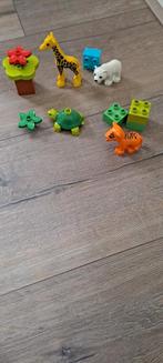 LEGO Duplo 10801 - Jonge Dieren, Kinderen en Baby's, Speelgoed | Duplo en Lego, Ophalen, Zo goed als nieuw, Complete set, Duplo