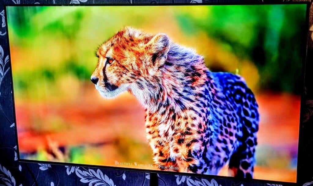 LG OLED55C16LA, Ophalen of Verzenden, Zo goed als nieuw, 100 cm of meer, 4k (UHD)