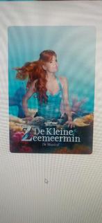 Kleine zeemeermin de musical 22juni 4x 1e rang kaarten, Drie personen of meer