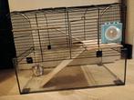Knaagdierenkooi / Hamsterkooi glas, Dieren en Toebehoren, Ophalen, Kooi, Gebruikt, 60 tot 90 cm