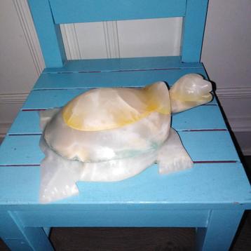 Marmeren schildpad beschikbaar voor biedingen