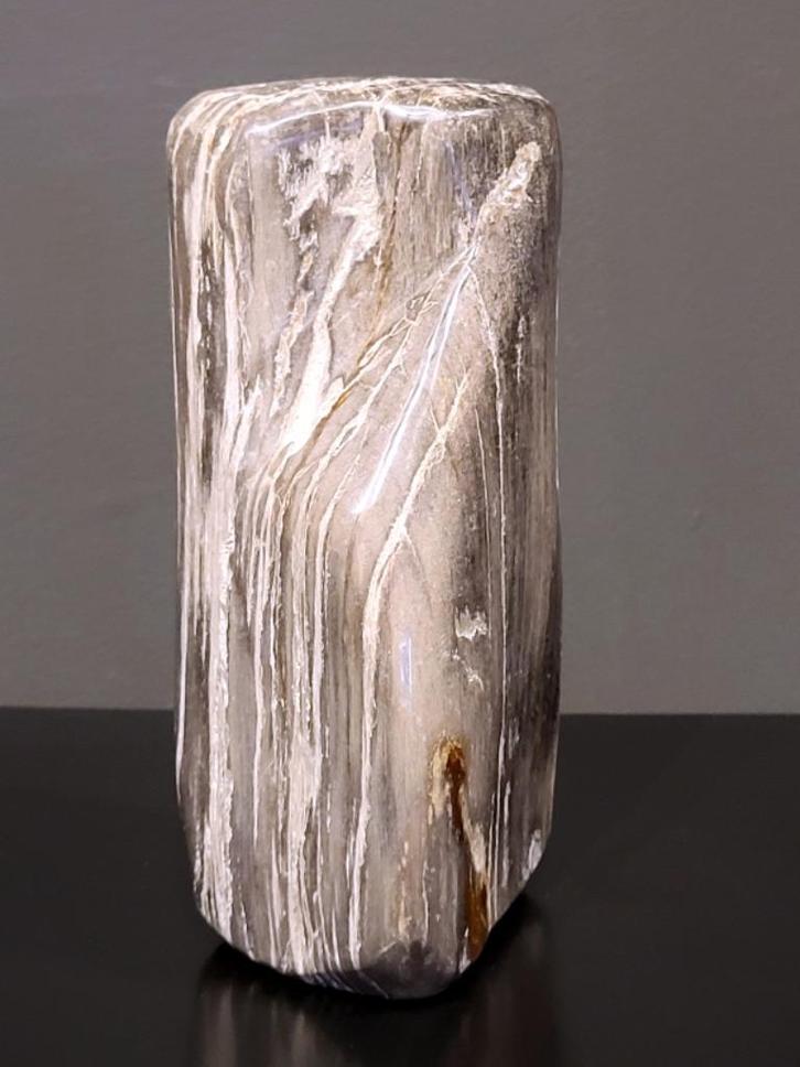 versteend hout, 1,6 kg, 32,- euro, zie afbeelding., Verzamelen, Mineralen en Fossielen, Mineraal, Ophalen