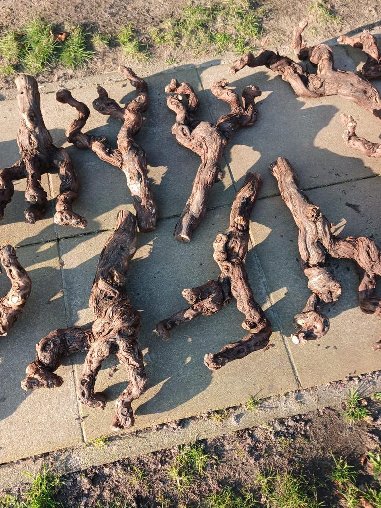 Zeer oude gedroogde druivenranken, Ophalen of Verzenden, Gebruikt