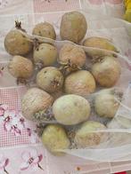 Aardappel om te zaaien /planten, Ophalen, Eenjarig, Groenteplanten, Volle zon