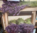 Lavendel op doek, Ophalen of Verzenden, Zo goed als nieuw, Minder dan 50 cm, Schilderij