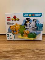 Duplo setje pinguïns en leeuwen - Nieuw, Ophalen of Verzenden, Nieuw, Complete set, Duplo