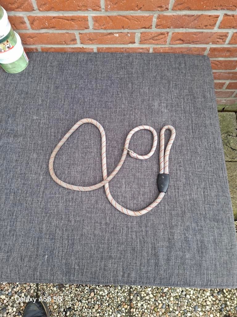 Honden riem met halsband, Dieren en Toebehoren, Ophalen of Verzenden, Zo goed als nieuw, Hondenriem