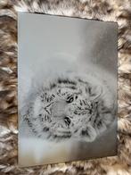 Glazen schilderij witte tijger, Ophalen, Zo goed als nieuw, Schilderij, 50 tot 75 cm
