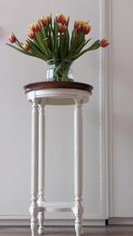 Set van 2 – Klassieke ronde plantentafels hout & wit, Ophalen, Minder dan 55 cm, Gebruikt, Rond