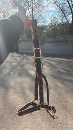 Halster extra full, Ophalen of Verzenden, Zo goed als nieuw, Overige soorten