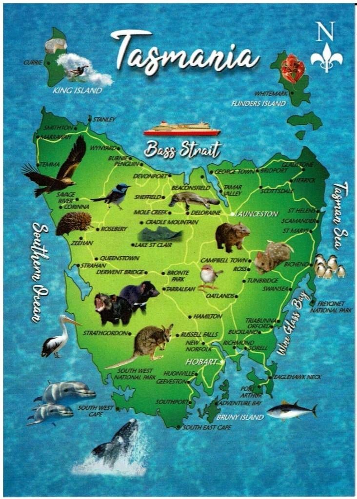 Ansichtkaart Australië, Tasmanië, Verzamelen, Ansichtkaarten | Buitenland, Ophalen of Verzenden, 1980 tot heden, Ongelopen, Buiten Europa