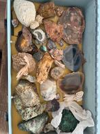 mooie verzameling mineralen edelstenen fossielen, Ophalen of Verzenden