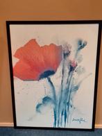 Klaproos in zwarte houten lijst.  Marthe-Mohnblumenstraua, Huis en Inrichting, Woonaccessoires | Schilderijen, Tekeningen en Foto's