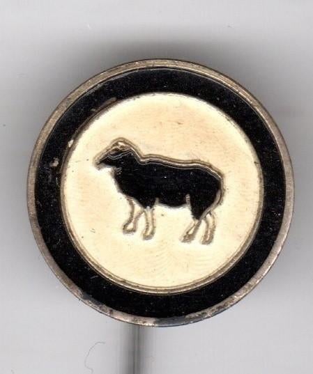 Speldje ZWARTE SCHAPEN VOETBAL ALMERE (A7), Verzamelen, Speldjes, Pins en Buttons, Verzenden, Gebruikt, Overige onderwerpen