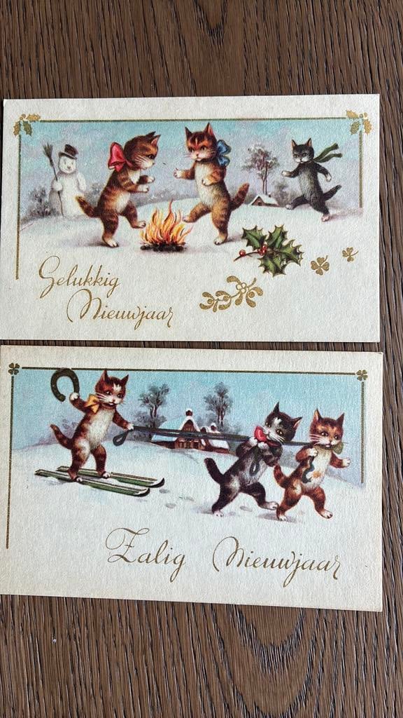 Poezen. Voortrekken op ski’s, vuurtje stoken, Verzamelen, Ansichtkaarten | Themakaarten, Ophalen of Verzenden, Ongelopen, Overige thema's