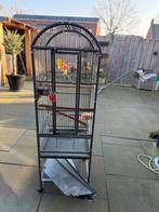Hele nette papegaaien kooi, Dieren en Toebehoren, Vogels | Hokken en Kooien, Ophalen of Verzenden, Zo goed als nieuw, Metaal, Vogelkooi